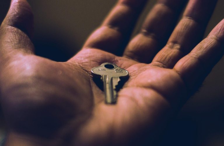 cmdr-shane-OHnvp41aDzE-unsplash (1)