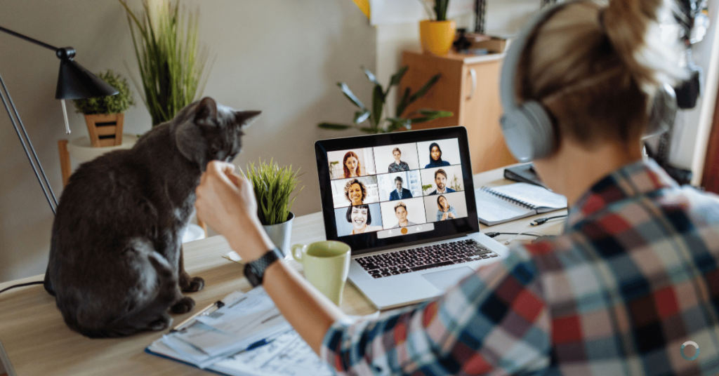 Cyber security for remote working - home network, BYOD, and video call security